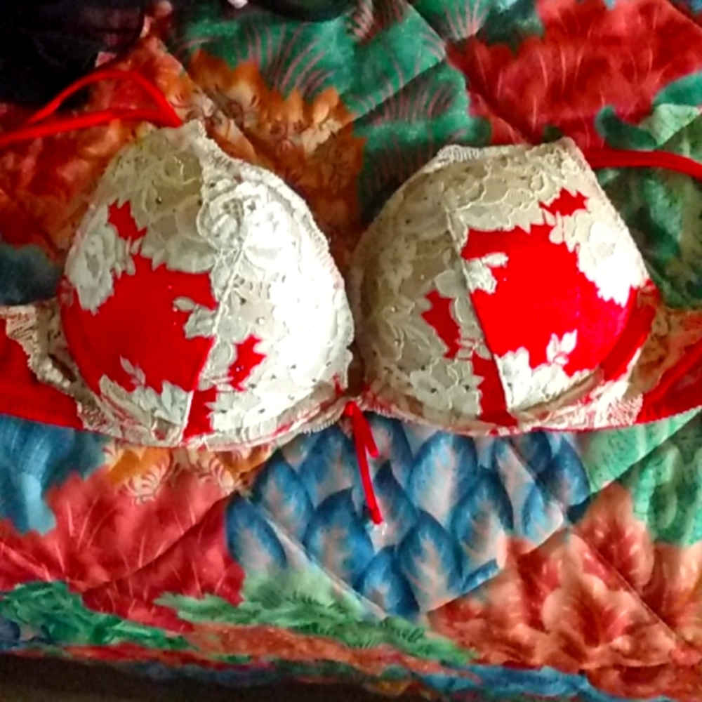 Victoria secret pushup bra size 32A